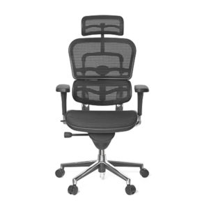 Ergohuman Standard Mesh Chair