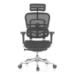 Elite V2 best selling ergohuman office chair