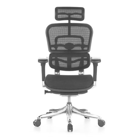 Elite V2 best selling ergohuman office chair
