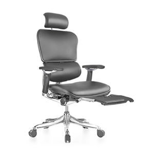 Ergonomic office chair with leg rest Ergohuman