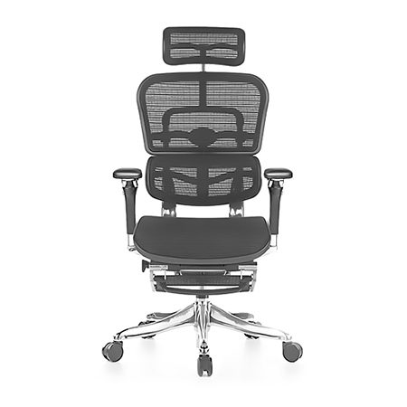 Ergohuman Luxury Leather Mesh Combo with Legrest - Image 2