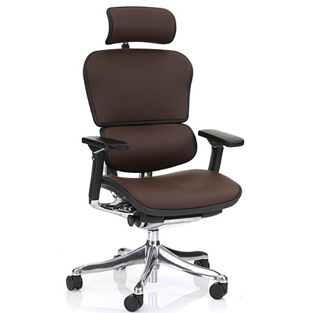 Ergohuman dark brown leather office chair right quarter view