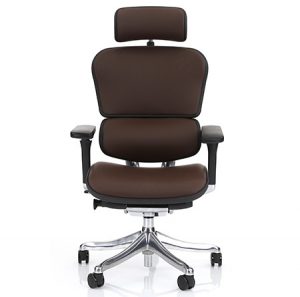 Ergohuman dark brown leather office chair front view