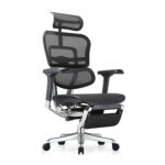 Ergohuman 2 Luxury Mesh Legrest is part of the Ergohuman Office Chair range