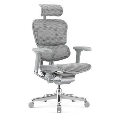 Ergohuman 2 Elite Platinum Mesh