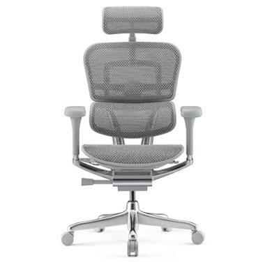 Ergohuman 2 Elite Platinum Mesh Legrest