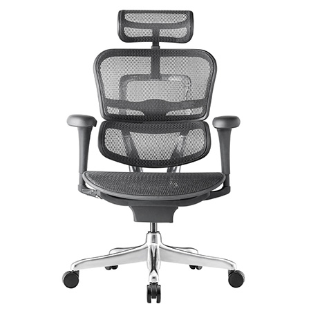 Ergohuman 2 Project Mesh office chair front view
