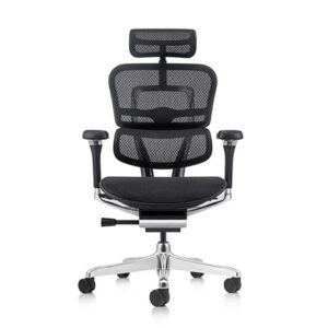Front view of the Ergohuman 2 Elite model in the Ergohuman 2 office chair range