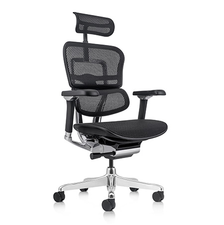 Ergohuman 2 Elite Mesh new release ergonomic office chair