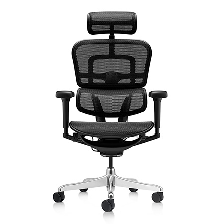 Ergohuman 2 Ultra Mesh office chair with headrest