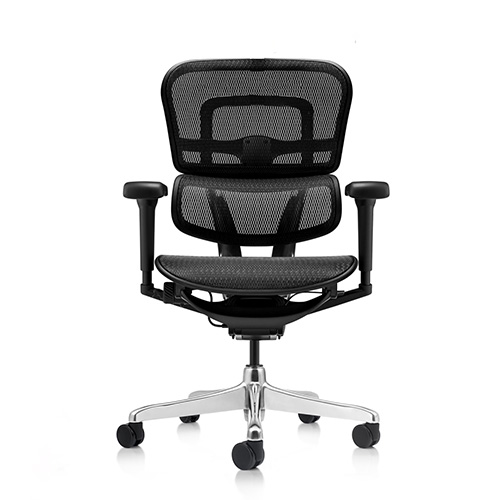 Ergohuman 2 Ultra Mesh office chair without headrest
