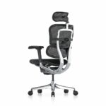 Rear left view of Ergohuman 2 Elite Mesh office chair in black