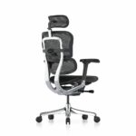 Rear side view of Ergohuman 2 Elite Mesh office chair in black