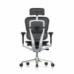 Rear view of Ergohuman 2 Elite Mesh office chair in black