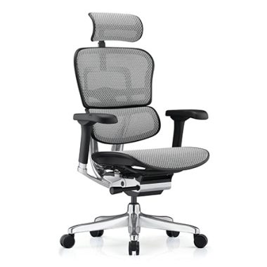Ergohuman 2 Elite Mesh Grey