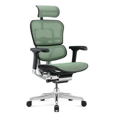 Ergohuman 2 Elite Mesh Green