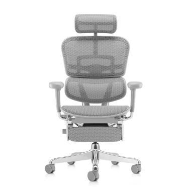 Grey office chair Ergohuman 2 Elite mark II Platinum with grey frame, grey mesh and leg rest front view