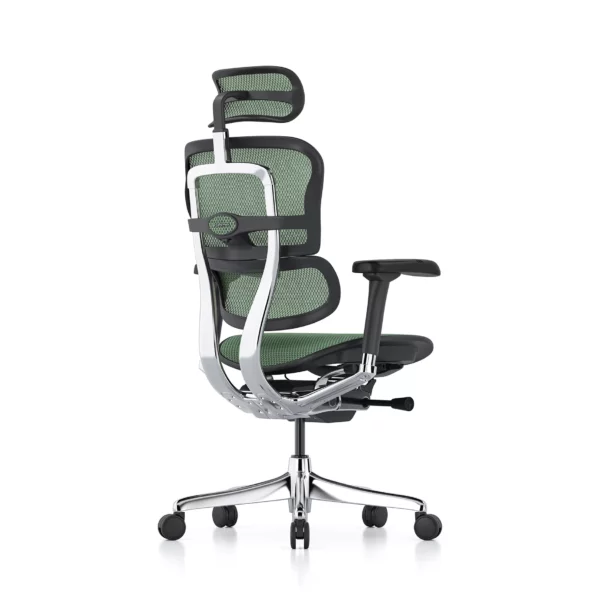 Green office chair Ergohuman 2 Elite in green mesh rear quarter view