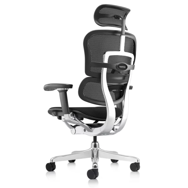 Ergohuman 2 Elite mark II office chair with fabric seat and mesh backrest left rear quarter