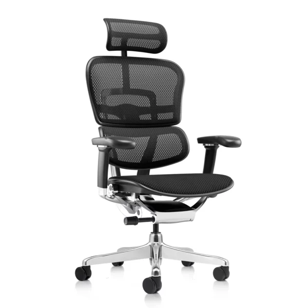 Ergohuman 2 Elite mark II office chair with fabric seat and mesh backrest front quarter view