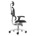 Ergonomic Office Chair Ergohuman 2 Elite mark II in Black mesh right side view