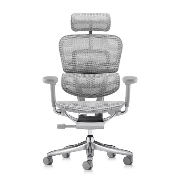 Ergohuman 2 Elite Platinum Mesh II