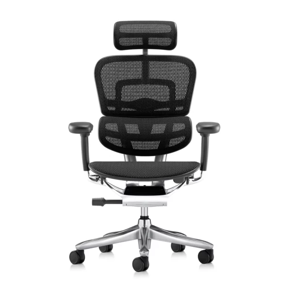 Ergonomic Office Chair Ergohuman 2 Luxury SE Mesh in Black front view