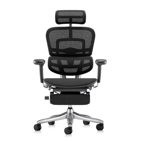Ergonomic Office Chair Ergohuman 2 Luxury SE black with mesh and leg rest front view